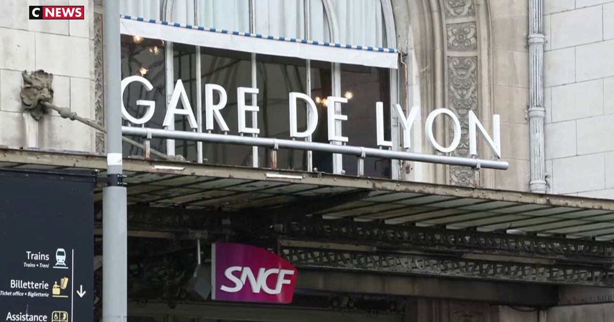 Attaque Gare De Lyon Le Profil De L Assaillant En Streaming Direct