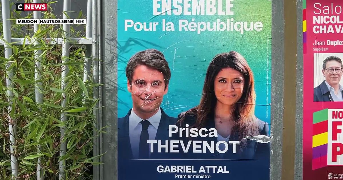 Lections L Gislatives Le Profil Des Agresseurs De Prisca Thevenot En