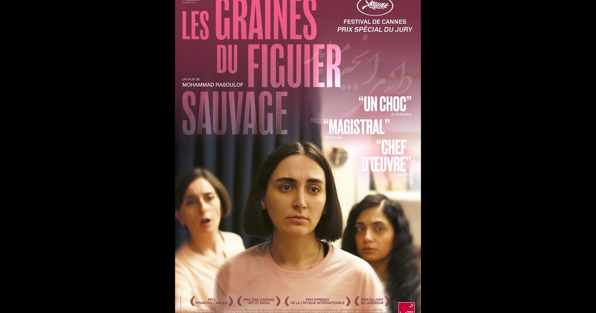 Bande Annonce Les Graines Du Figuier Sauvage En Streaming Direct Et