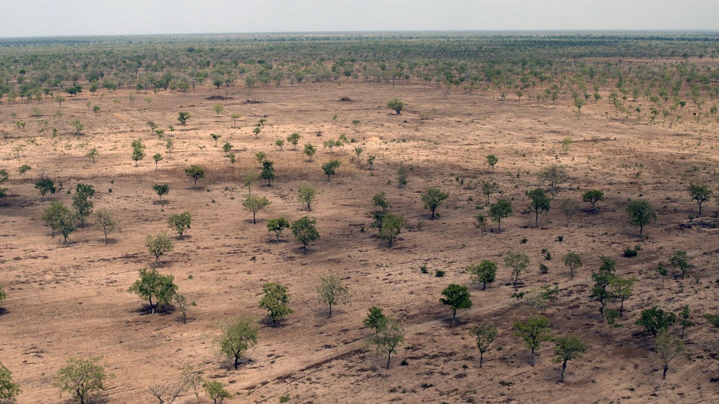 L Afrique Vue Du Ciel Saison En Streaming Direct Et Replay Sur