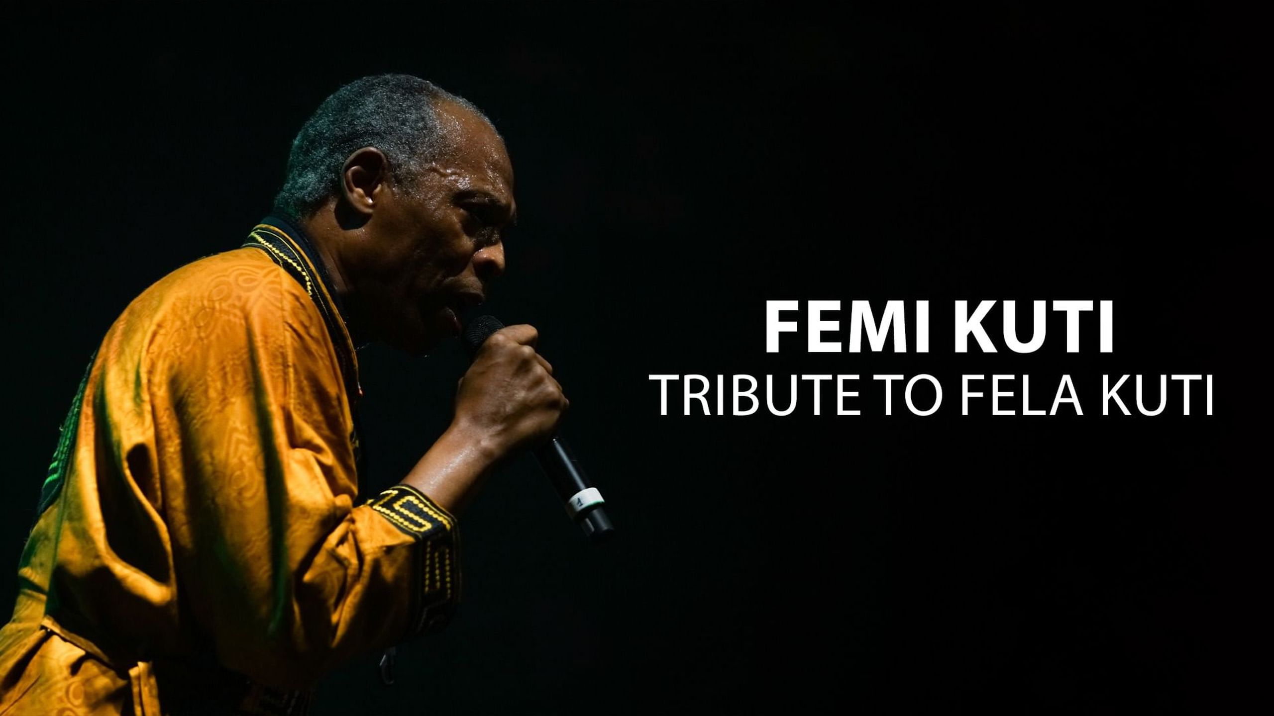 Tribute To Fela Kuti En Streaming Direct Et Replay Sur Canal Mycanal