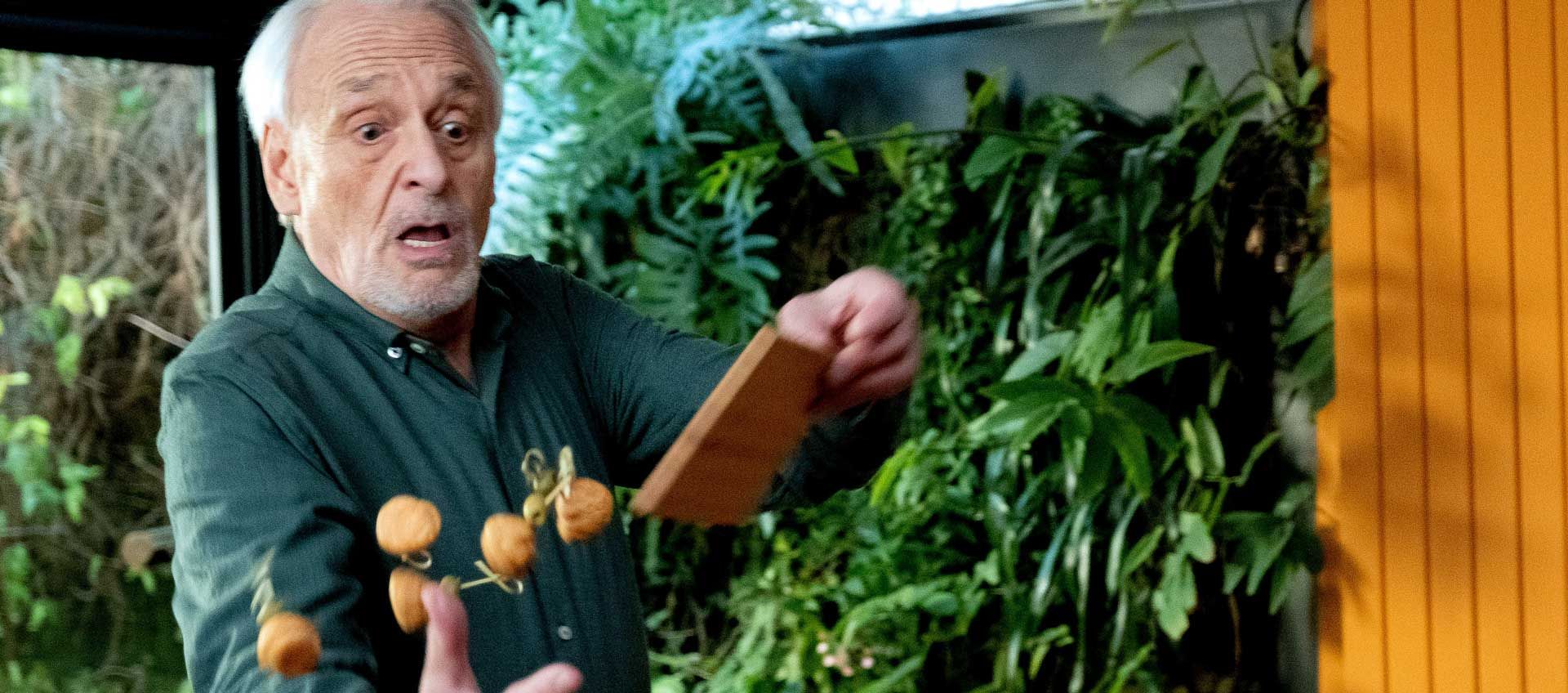PAPA - Didier Flamand