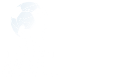 UEFA Euro Espoirs 2023