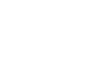 BAAGHI 4