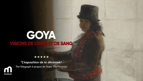 GOYA sur MUSEUM