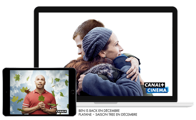Ben is back - En décembre sur CANAL+CINEMA / Platane Saison Tree - En décembre sur CANAL+