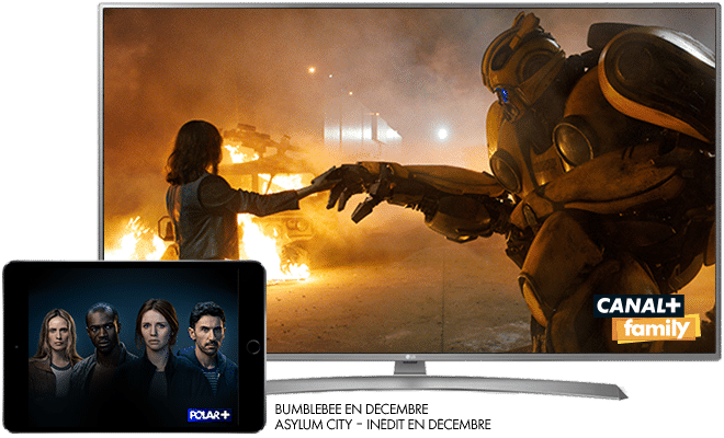 Bumblebee - En décembre sur CANAL+FAMILY / Asylum City - Inédit en décembre sur POLAR+