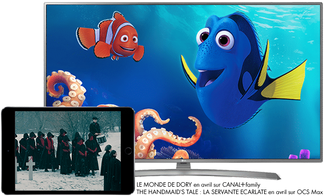 Le Monde de Dory en avril sur CANAL+ family / The Handmaid's Tale : La Servante Ecarlate en avril sur OCS Max