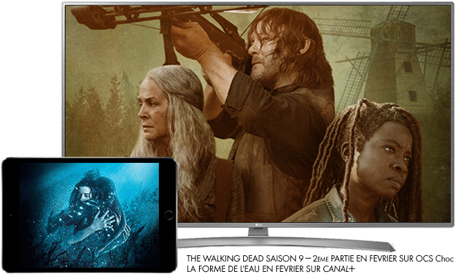 The Walking Dead saison 9, 2eme Partie en Février sur OCS CHOC / La forme de l'eau en Février sur CANAL+