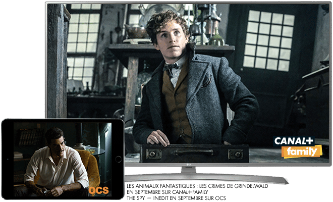 Les animaux fantastiques - Les crimes de Grindelwald en Septembre sur CANAL+Family / The spy - Inédit en Septembre sur OCS