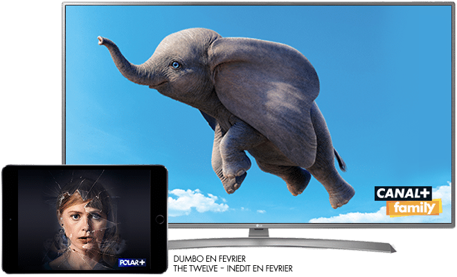 Dumbo en Février sur CANAL+ / The twelve - En février sur POLAR+