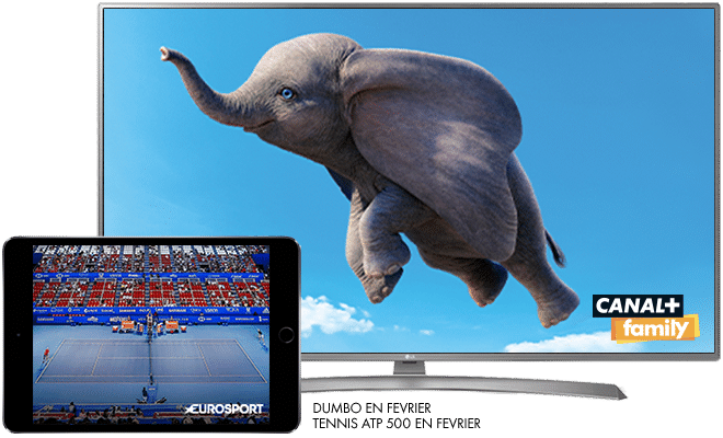 Dumbo en Février sur CANAL+ / ATP 500 - En février sur Eurosport