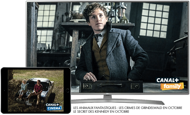 Les animaux fantastiques - Les crimes de Grindelwald en octobre sur CANAL+Family / Le secret des Kennedy en octobre sur CANAL+CINEMA