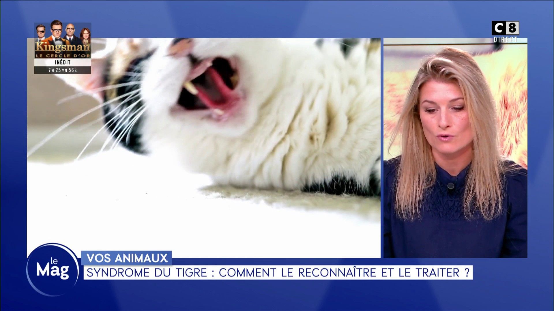 Syndrome Du Tigre Comment Le Reconnaitre Et Le Traiter En Streaming Direct Et Replay Sur Canal Mycanal