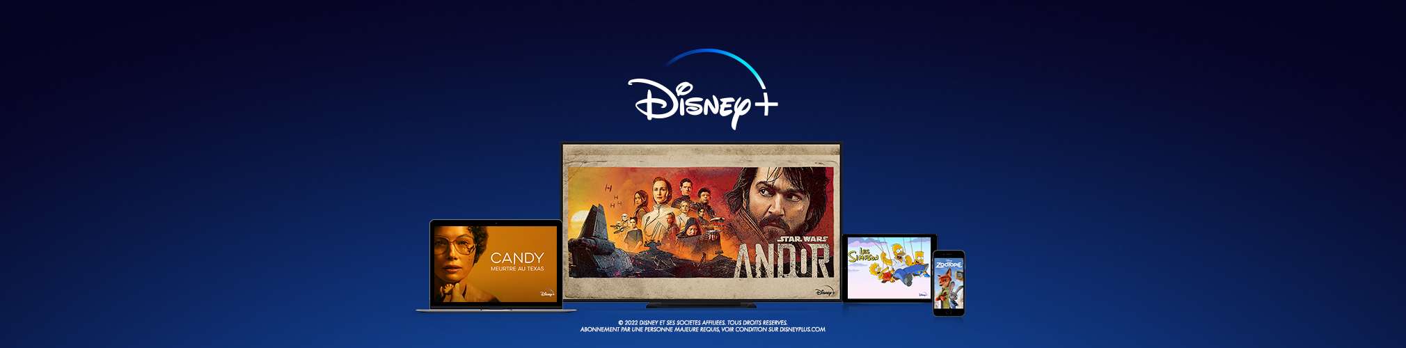 HERO_BANNER_LP_DISNEY_VF_OCT22.jpg