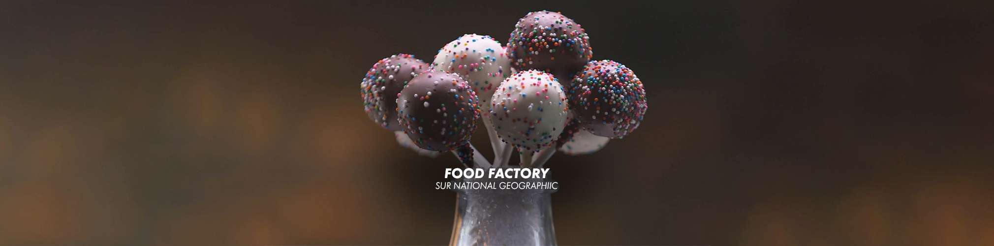 DECOUVERTE-HB-FOOD_FACTORY.jpg