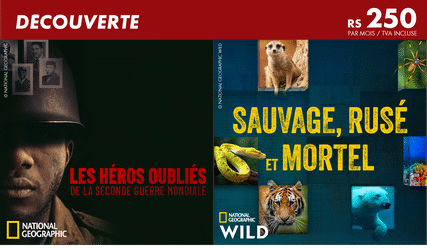 Banner Pack - Decouverte.png