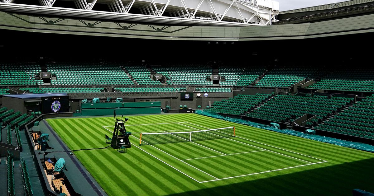 Wimbledon en streaming direct et replay sur CANAL+ myCANAL Congo