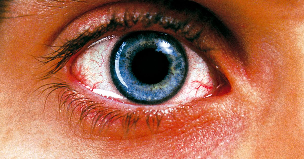 Requiem for a Dream Streaming Film Drame 1h42 2000 CANAL VOD