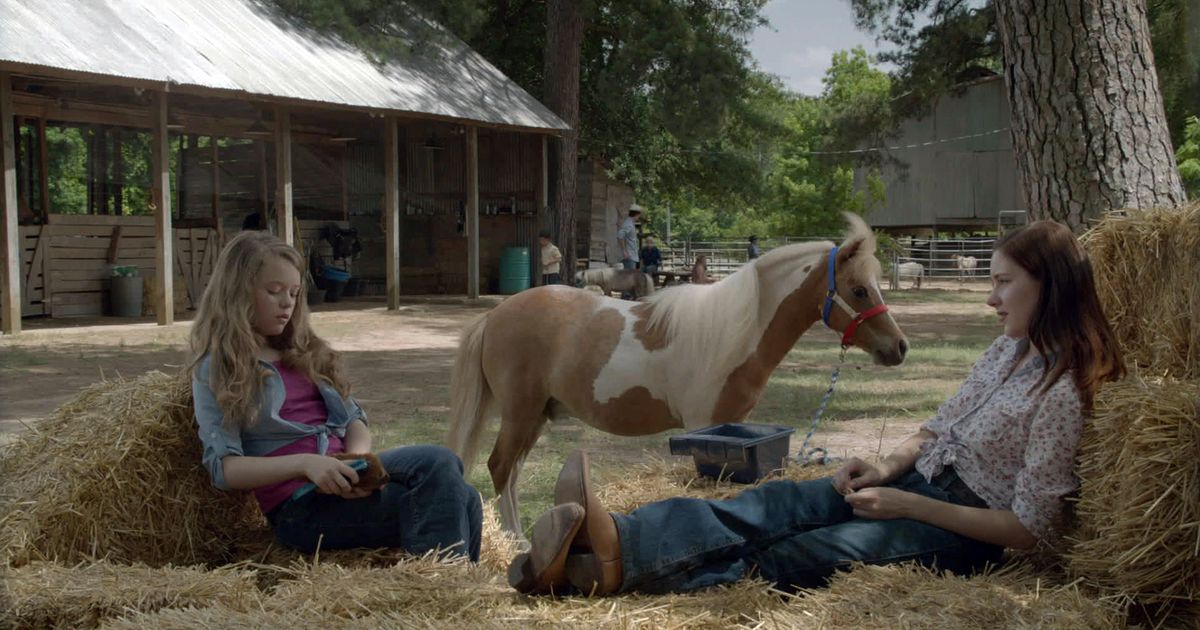Rodeo princess film