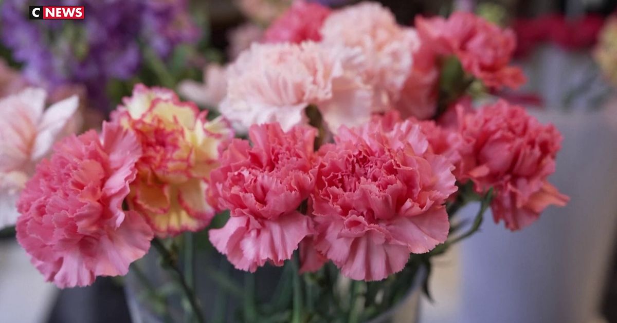 Pour la Saint-Valentin, offrez des fleurs comestibles en streaming