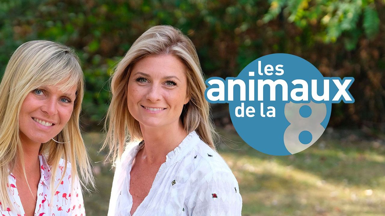 Les Animaux de la 8 en streaming direct et replay sur CANAL+ myCANAL