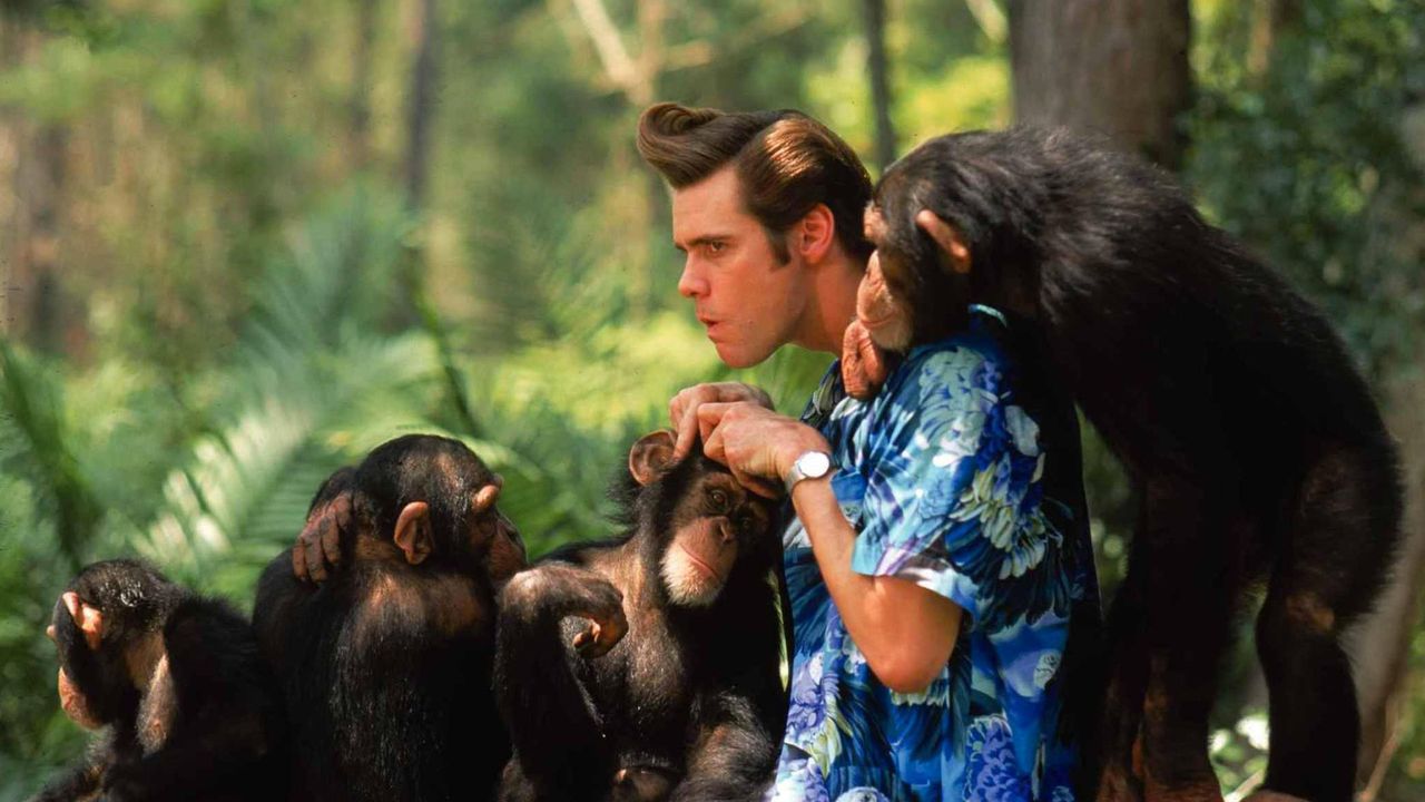 Ace Ventura en Afrique en streaming direct et replay sur CANAL+ | myCANAL