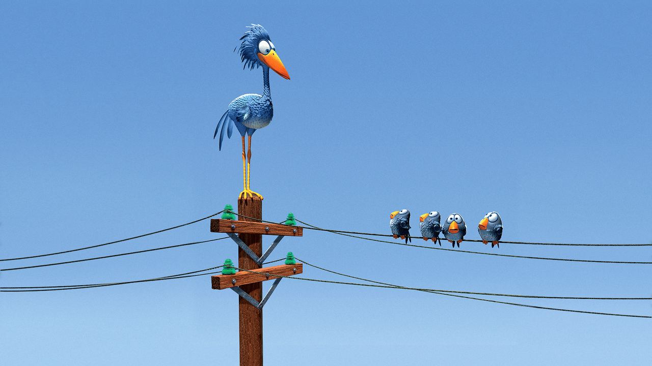 Drôles D Oiseaux Sur Une Ligne à Haute Tension