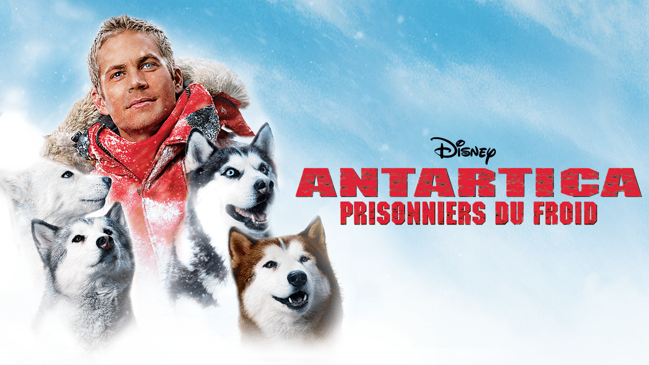 Antartica Prisonniers Du Froid Nom Des Chiens Antartica, prisonniers du froid en streaming direct et replay sur