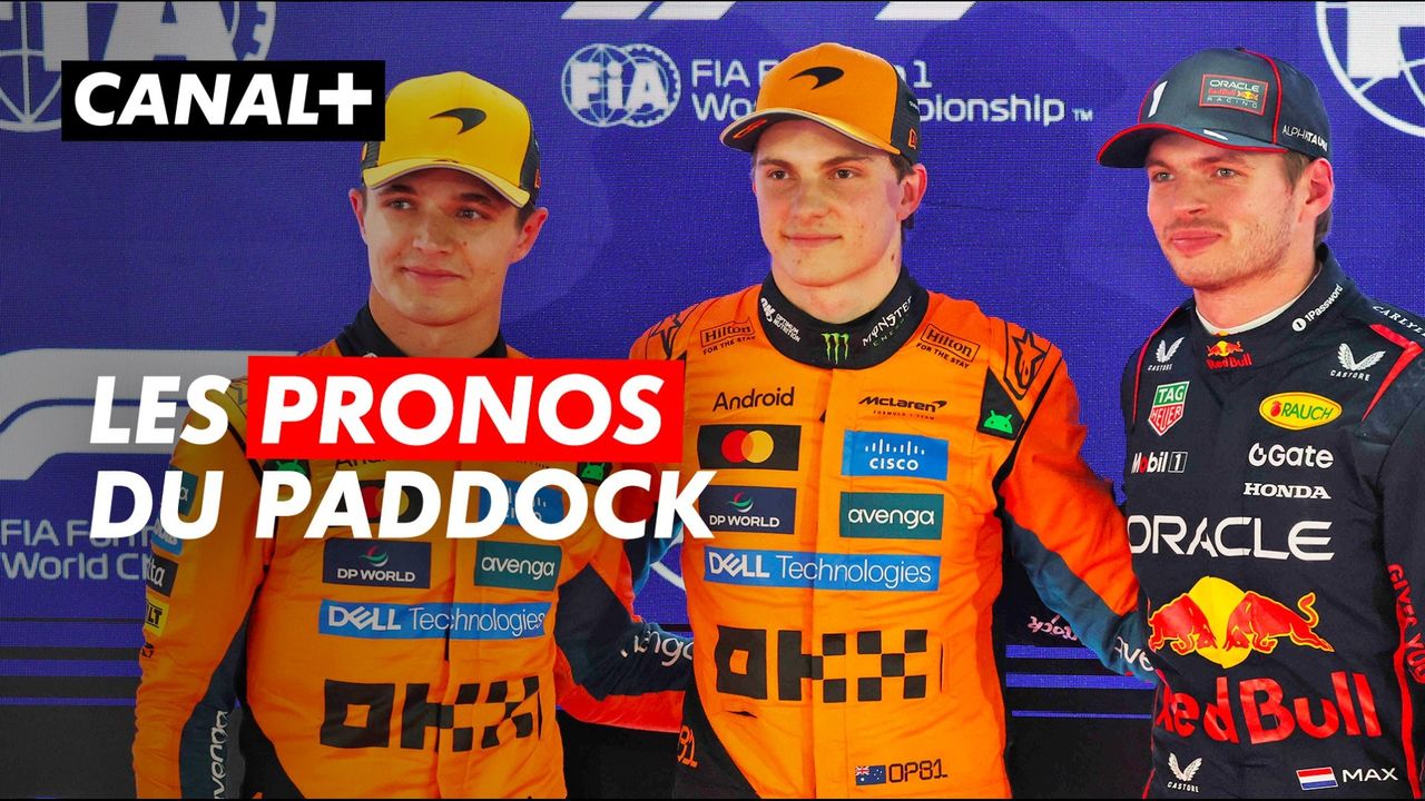 F1 - Qui sera sacré champion ? Norris, Piastri ou Verstappen : le paddock livre ses pronostics