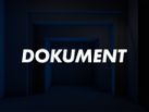 Dokument