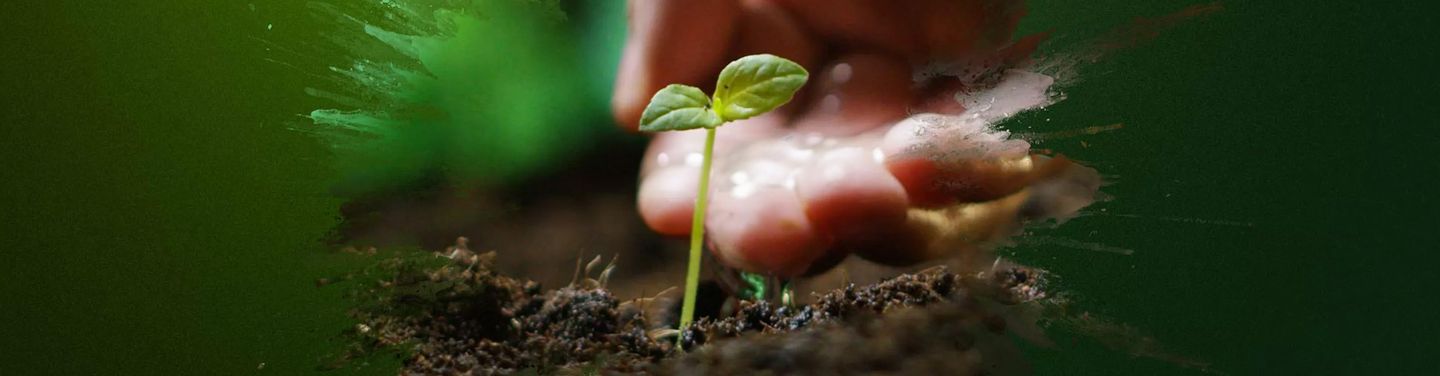 Cover Sélection Ushuaïa