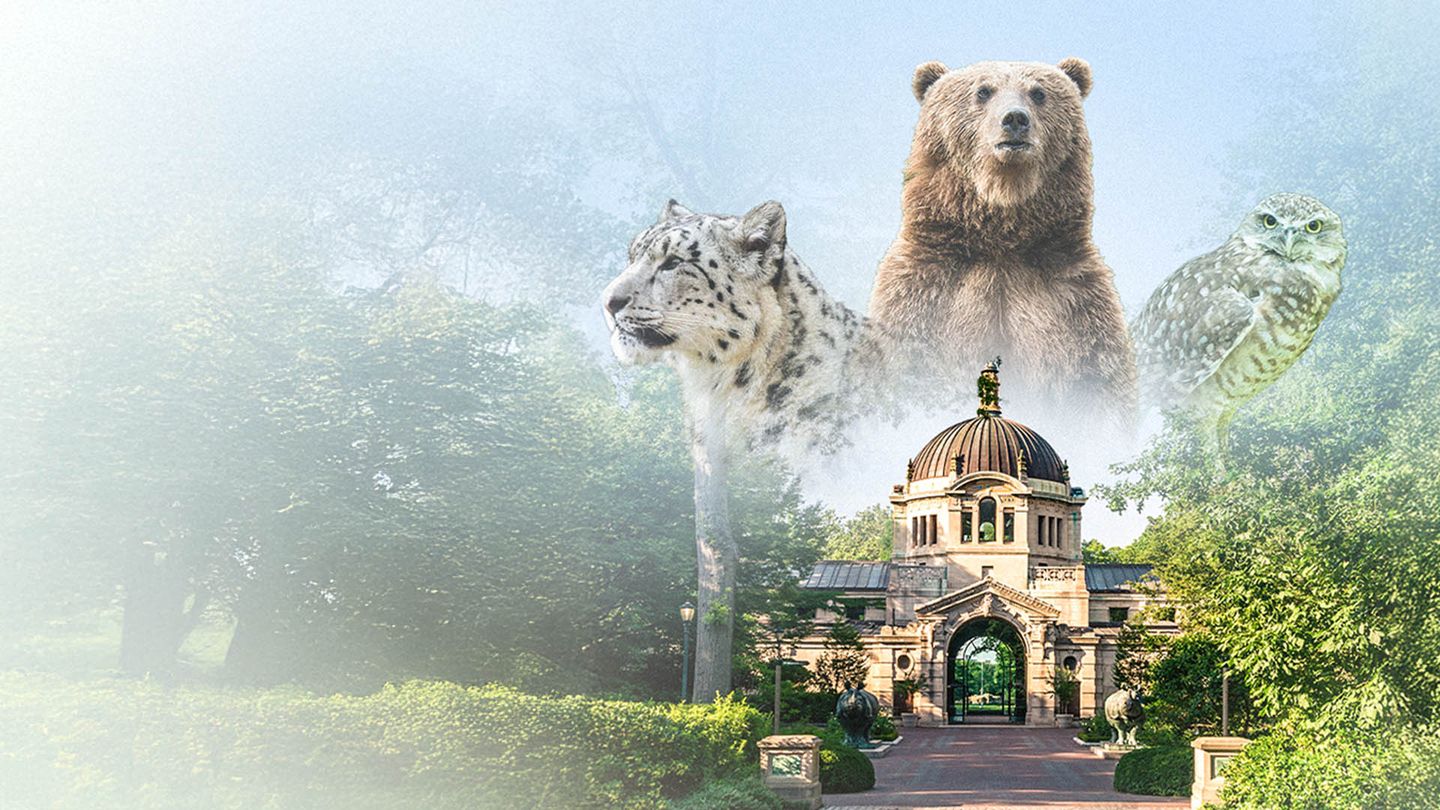 Au cœur du zoo de New York