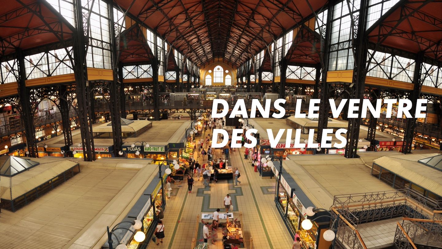 Dans le ventre des villes
