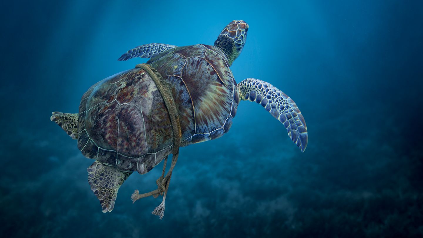 Méditerranée, l'odyssée pour la vie