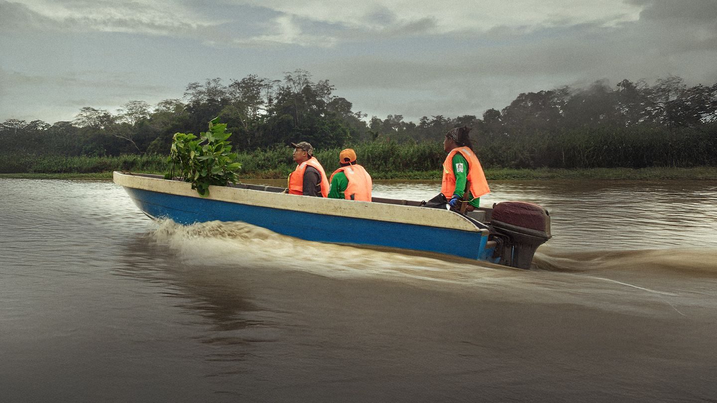 Des mains vertes pour la nature