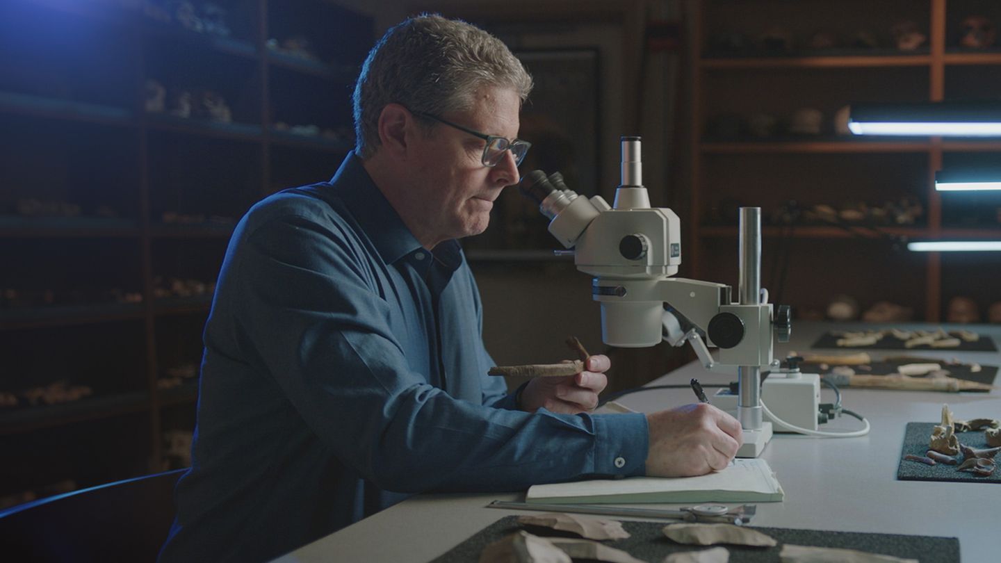 Cold cases de l'Antiquité