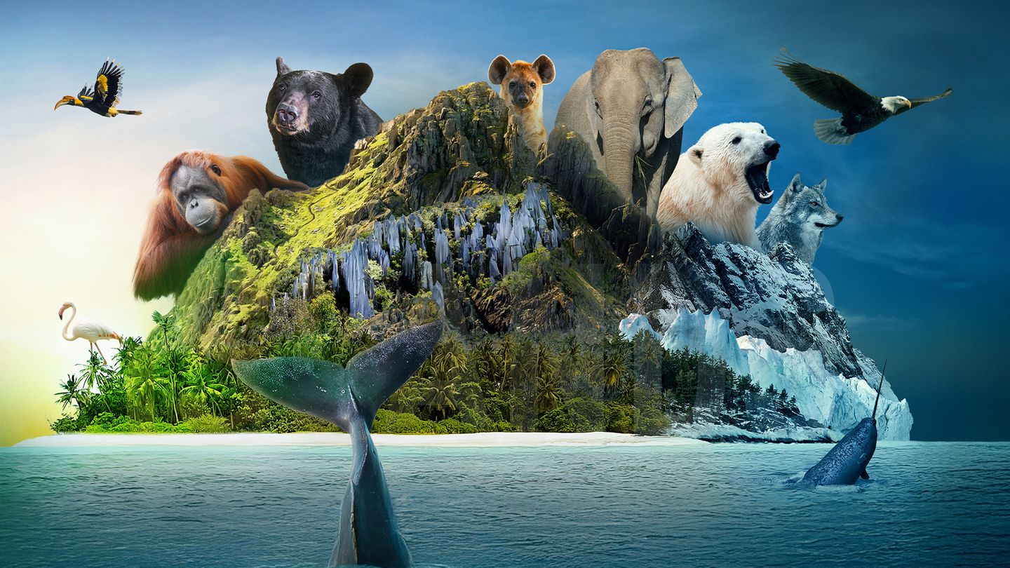 Les îles, laboratoires de la nature