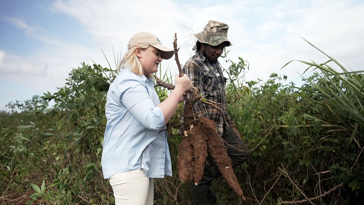 Alexia cuisine le monde
