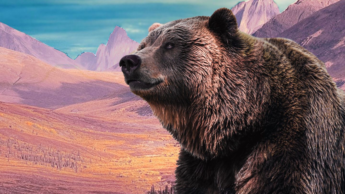 A la reconquête des Rocheuses