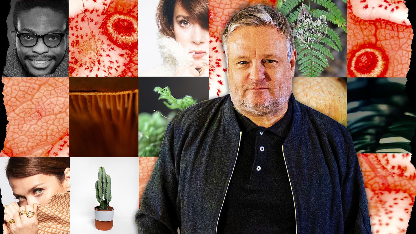 Le grand défi de la photo britannique