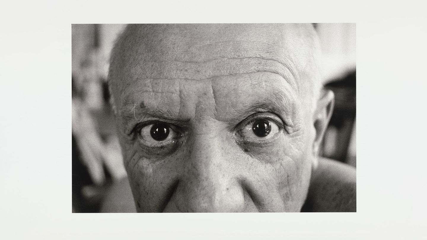 Picasso : l'ombre et la lumière