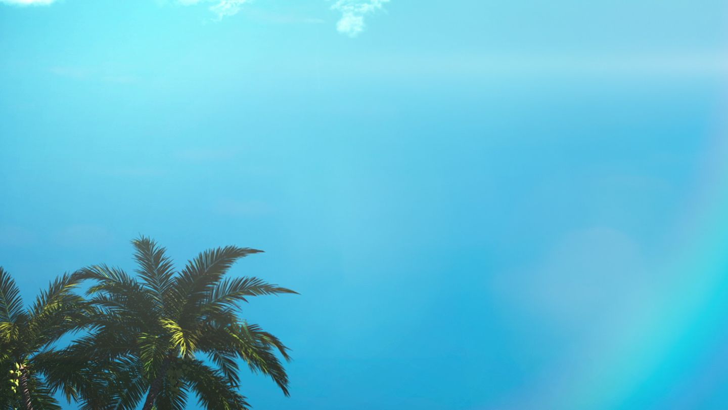 Le cross : Les Ch'tis vs les Marseillais, la revanche