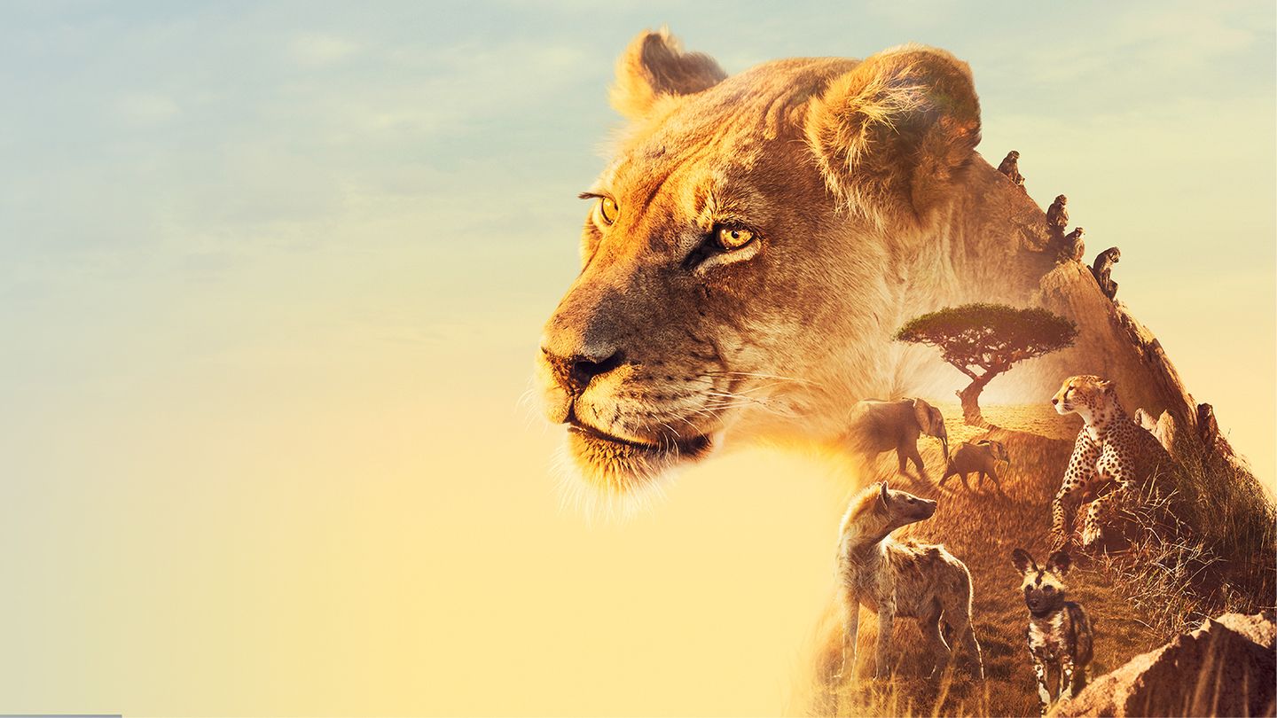 Serengeti, la grande cavalcade des animaux