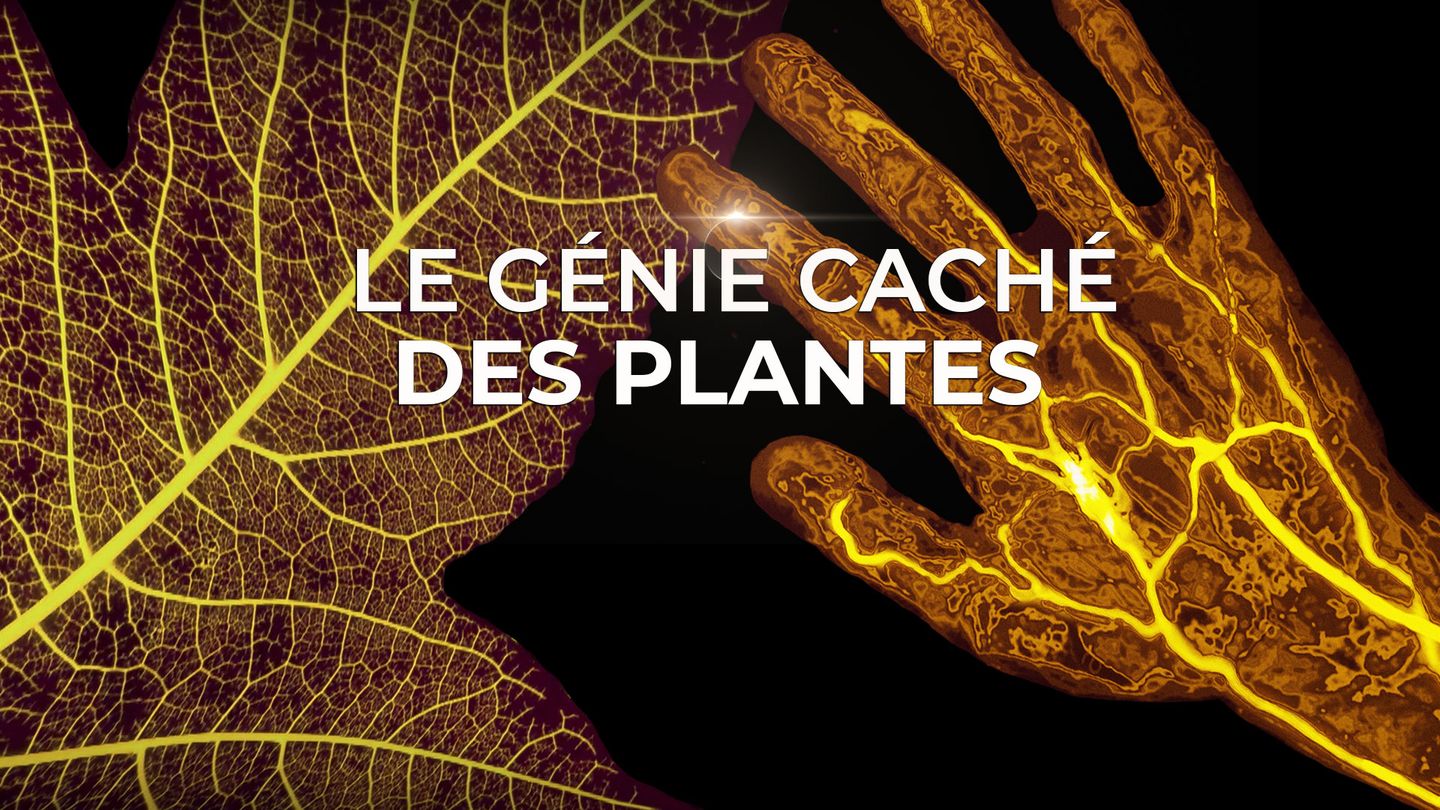 Le génie des plantes