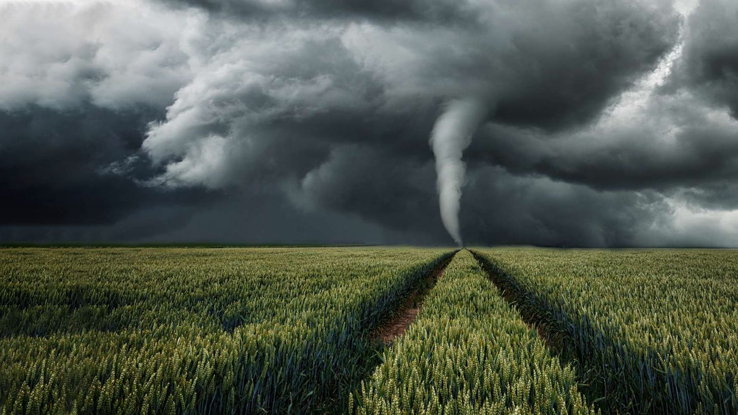 La science des forces de la nature