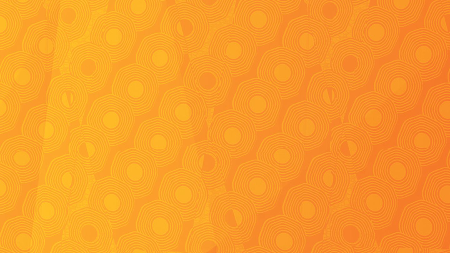 Quand les éléphants se battent