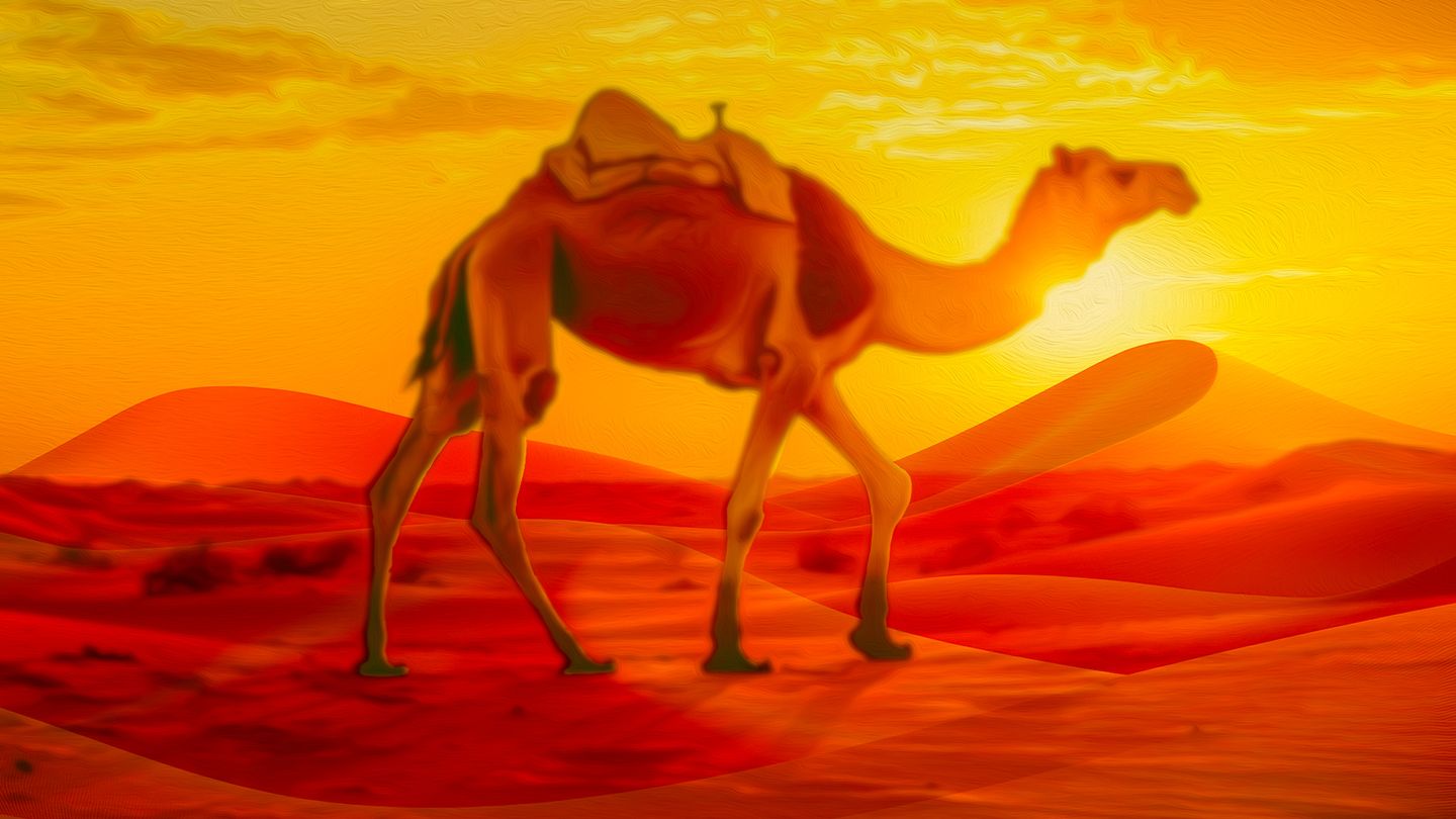 La chaîne qui nous unit