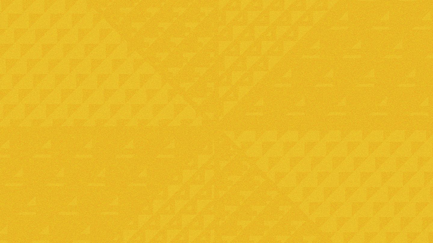 Quand les éléphants se battent