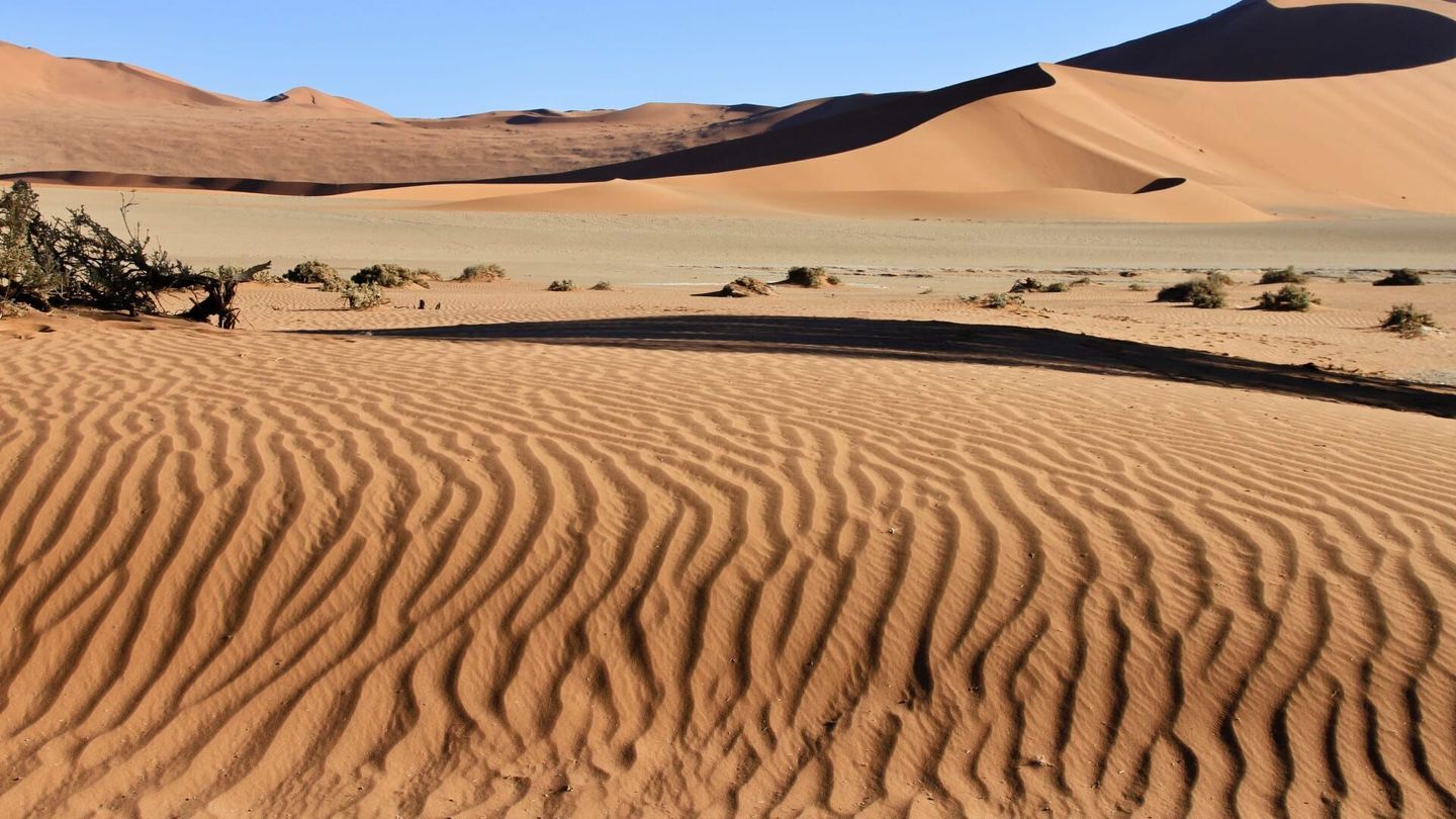 Namibie sauvage